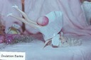 Ovulation_Barbie