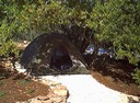 tent2
