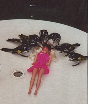 The_BIRDS_barbie