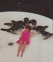 The_BIRDS_barbie