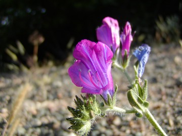 U060202