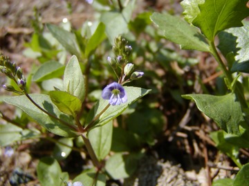 U080402